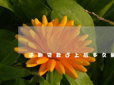 逾期贷款还上后多久解除冻结 逾期贷款还上后多久解除冻结