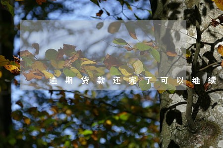 逾期贷款还完了可以继续贷吗 逾期贷款还完了可以继续贷吗