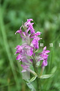 逾期贷款还完了可以贷款买房吗 逾期贷款还完了可以贷款买房吗