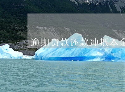 逾期贷款还款冲抵本金 逾期贷款还款冲抵本金