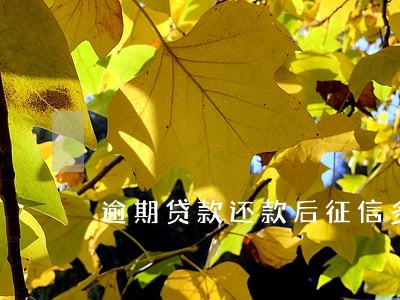 逾期贷款还款后征信多久更新 逾期贷款还款后征信多久更新