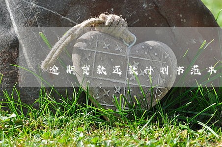 逾期贷款还款计划书范本 逾期贷款还款计划书范本