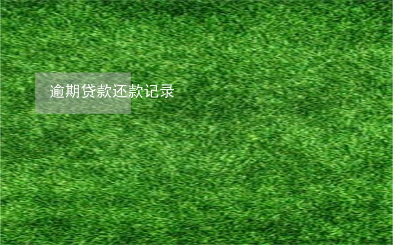 逾期贷款还款记录 逾期贷款还款记录