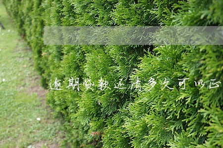 逾期贷款还清多久可以正常 逾期贷款还清多久可以正常