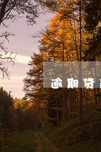 逾期贷款还能再借吗 逾期贷款还能再借吗