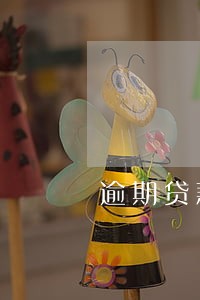 逾期贷款进入不良 逾期贷款进入不良