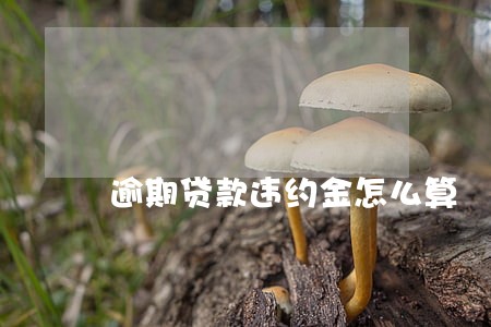 逾期贷款违约金怎么算