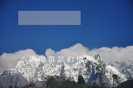 逾期贷款追偿行为 逾期贷款追偿行为