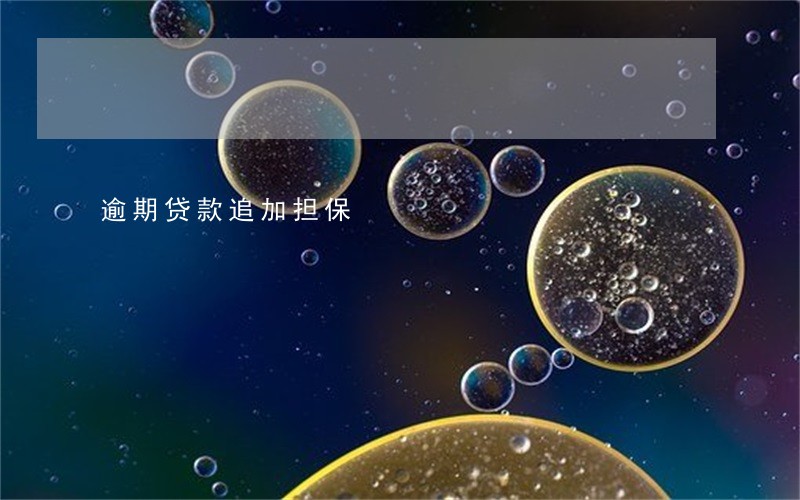 逾期贷款追加担保 逾期贷款追加担保