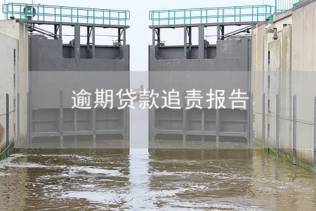 逾期贷款追责报告 逾期贷款追责报告