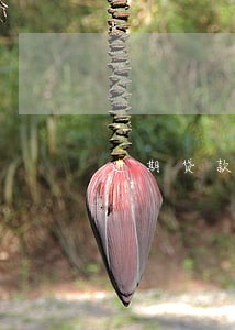 逾期贷款通告 逾期贷款通告