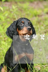 逾期贷款通知书通知书的作用 逾期贷款通知书通知书的作用