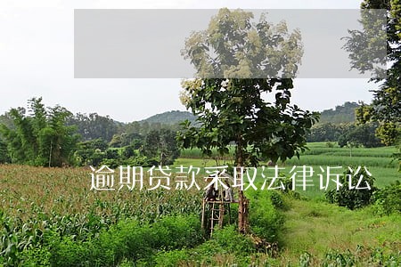 逾期贷款采取法律诉讼 逾期贷款采取法律诉讼