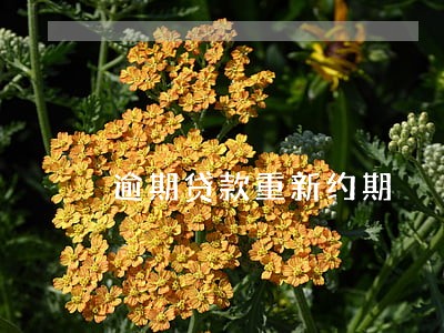 逾期贷款重新约期 逾期贷款重新约期