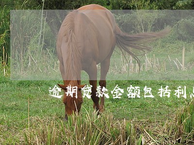 逾期贷款金额包括利息吗 逾期贷款金额包括利息吗