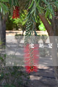 逾期贷款银行 逾期贷款银行