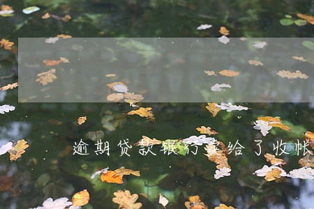 逾期贷款银行卖给了收帐公司 逾期贷款银行卖给了收帐公司