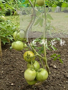 逾期贷款银行占比 逾期贷款银行占比