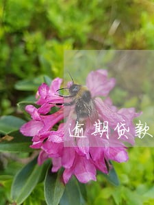 逾期贷款防范化解预案 逾期贷款防范化解预案