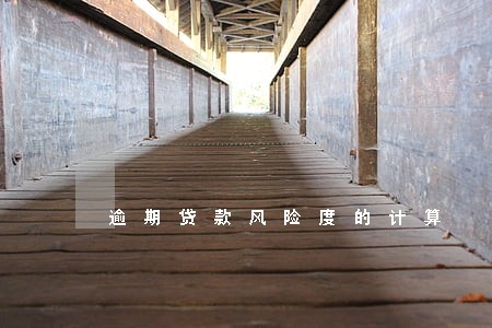 逾期贷款风险度的计算 逾期贷款风险度的计算