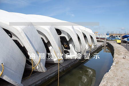 逾期贷款风险提示