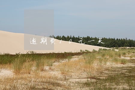 逾期费10元一天 逾期费10元一天