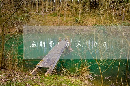 逾期费10天100 逾期费10天100