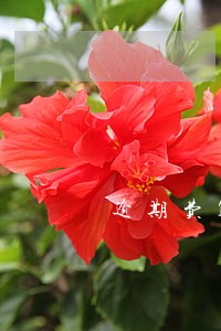 逾期费150一天我来贷