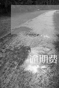 逾期费160 逾期费160
