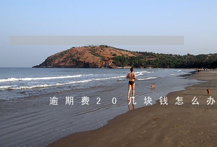 逾期费20几块钱怎么办 逾期费20几块钱怎么办