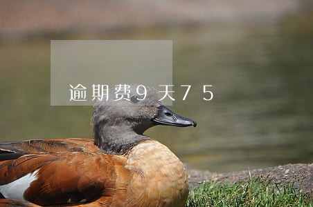 逾期费9天75 逾期费9天75
