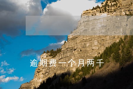 逾期费一个月两千 逾期费一个月两千
