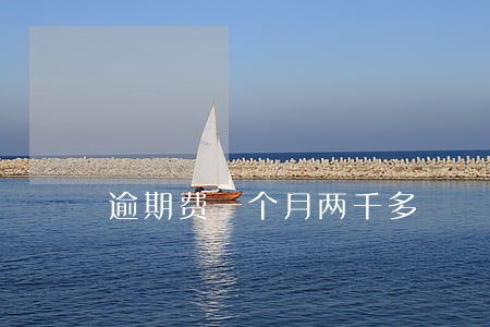 逾期费一个月两千多 逾期费一个月两千多