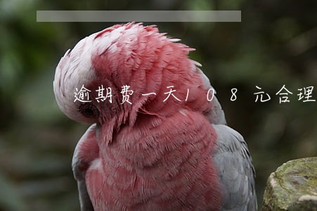 逾期费一天108元合理吗 逾期费一天108元合理吗