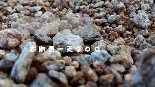 逾期费一天200 逾期费一天200