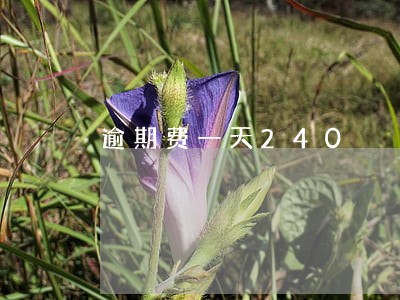 逾期费一天240