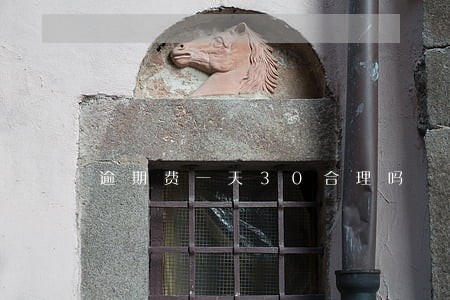 逾期费一天30合理吗 逾期费一天30合理吗