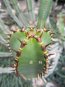 逾期费一天56 逾期费一天56