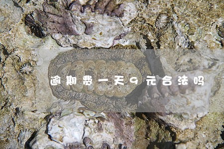 逾期费一天9元合法吗 逾期费一天9元合法吗