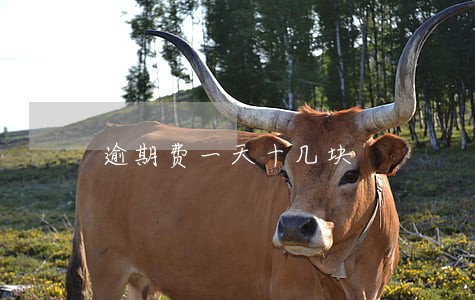 逾期费一天十几块 逾期费一天十几块