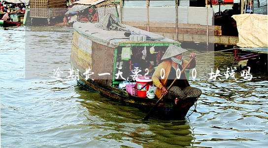 逾期费一天要2000块钱吗 逾期费一天要2000块钱吗