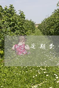 逾期费一天要34 逾期费一天要34