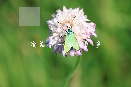 逾期费一期50多 逾期费一期50多