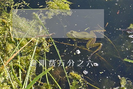 逾期费万分之六 逾期费万分之六