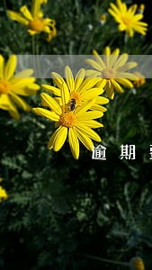 逾期费上浮多少 逾期费上浮多少