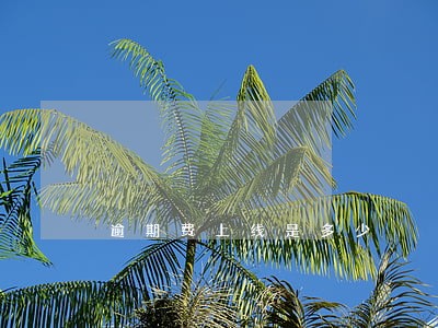 逾期费上线是多少 逾期费上线是多少