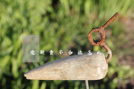 逾期费不合法怎么办