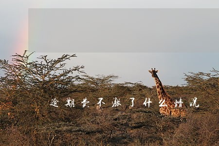 逾期费不涨了什么情况 逾期费不涨了什么情况