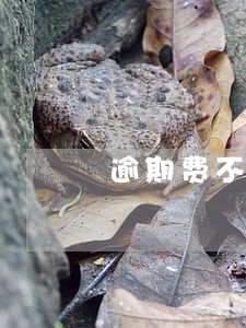 逾期费不给 逾期费不给