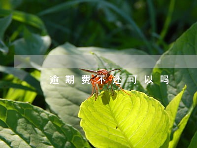 逾期费不还可以吗 逾期费不还可以吗